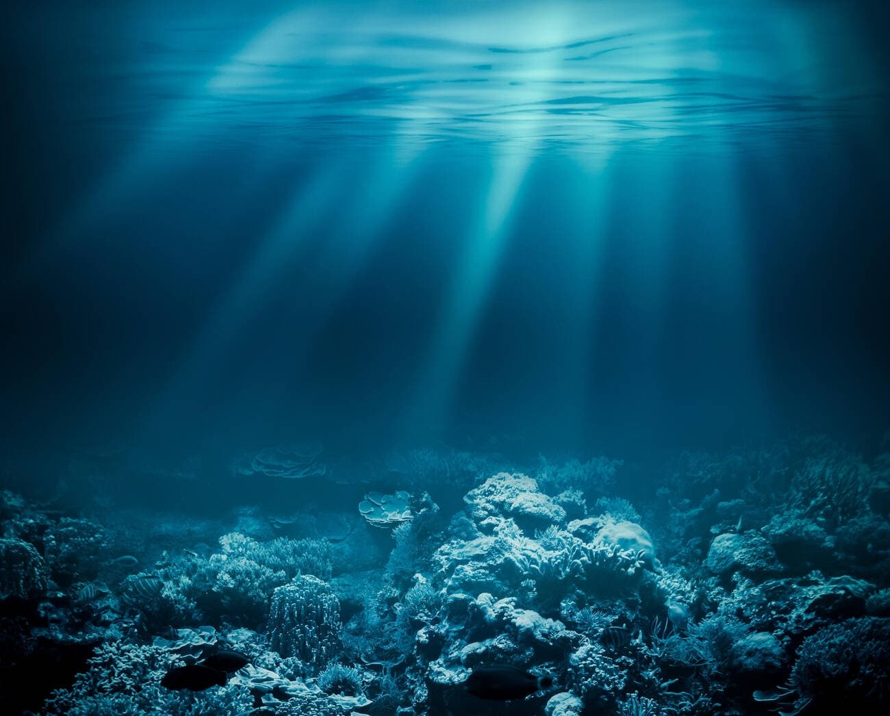 underwater background
